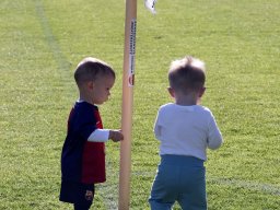 20260501_scr-mauer_ohling_0048